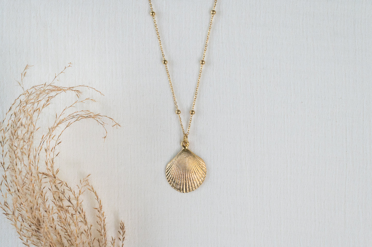 Collier Coquillage